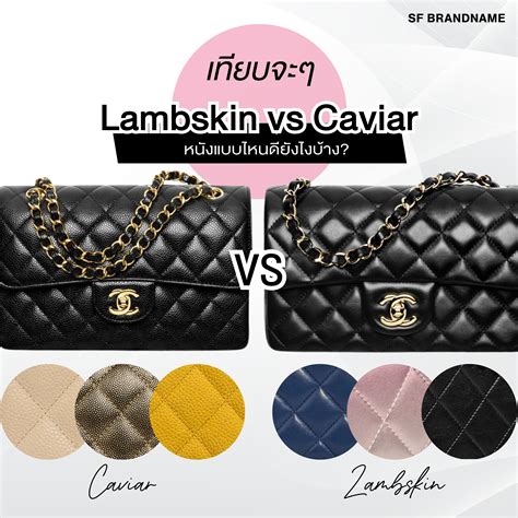 chanel jumbo flap caviar vs lambskin|GUIDE TO CHANEL: CAVIAR VS LAMBSKIN .